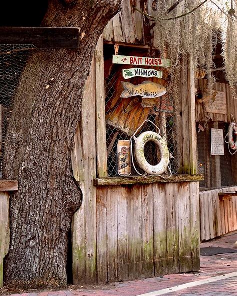 Camp Mack Bait House Photograph by Carol Bradley - Fine Art America