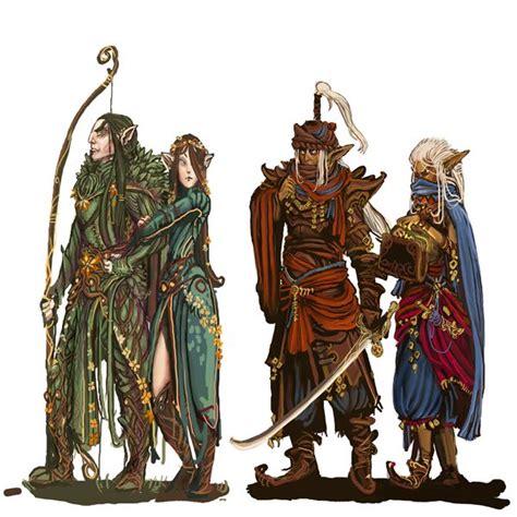 Universal Edge's Elven Races | Dungeons and dragons characters ...