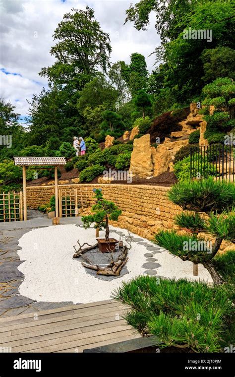 The attractive Bonsai and Rock Gardens at 'The Newt in Somerset' hotel and garden, nr Bruton ...