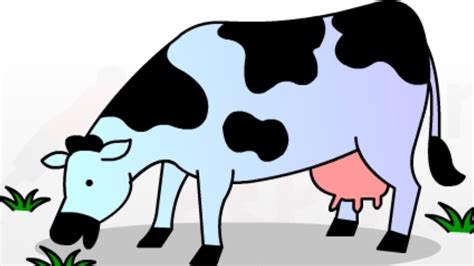 Cow kids drawing and colouring - YouTube