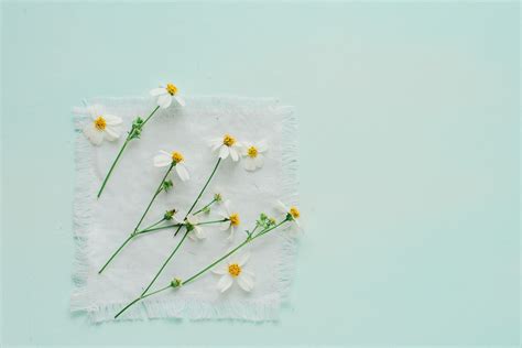 Minimal Flower HD Wallpapers - Wallpaper Cave