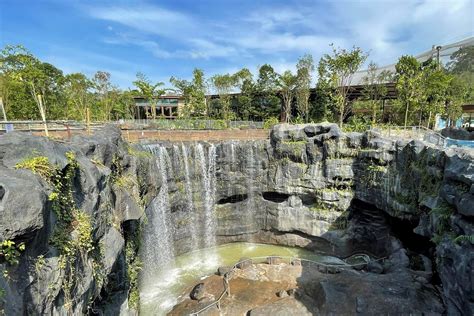 Bird Paradise to open in Mandai in Q2 of 2023 and will have eight walk ...