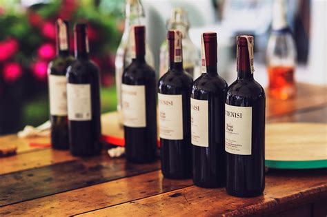 Como guardar os vinhos em casa? Confira 5 dicas