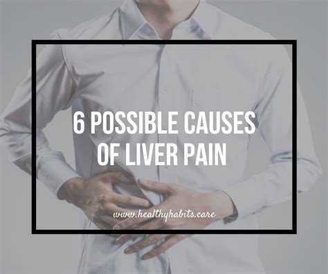 6 Possible Causes of Liver Pain – Healthy Habits