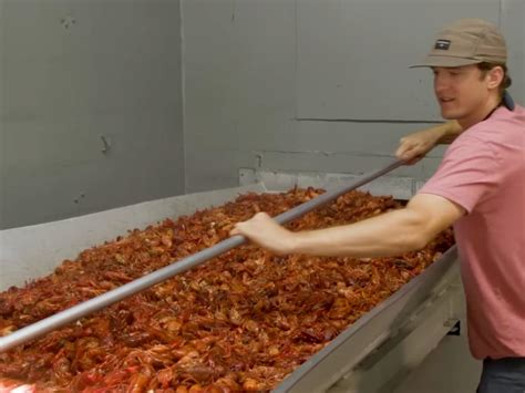 How a Louisiana crawfish company harvests 60,000 pounds a day