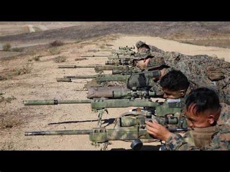 Marine Sniper Training - The First 2 Weeks of USMC Scout Sniper Training - YouTube