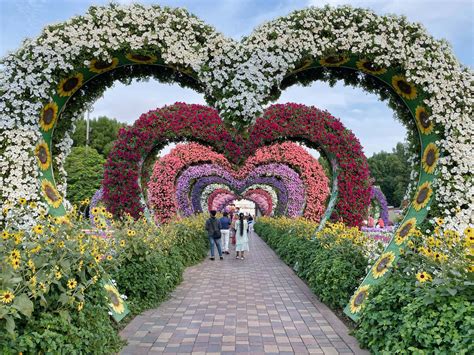 Download a couple walking through a garden with a heart shaped arch ...