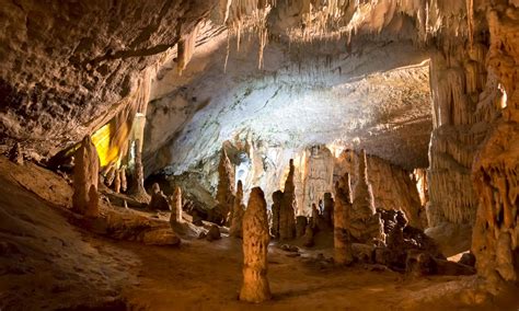 Caving - Postojna Cave Half-Day Trip | Trekhunt