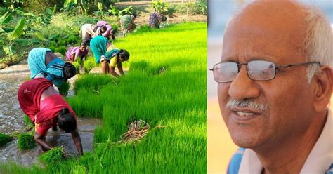 Retired TN Banker Sells Home,Turns Barren Land to Model Organic Farm