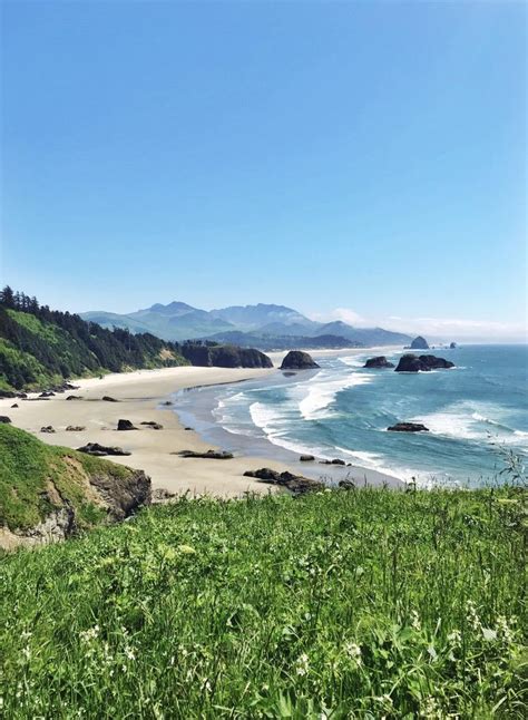 Ecola State Park Oregon. Photos dont do this place justice. [OC] [2954x4030] https://ift.tt ...