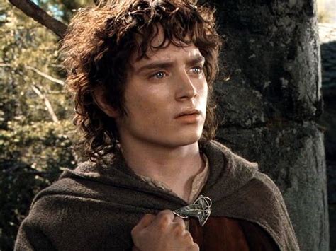 Frodo Baggins LOTR | Frodo baggins, The hobbit, Lord of the rings