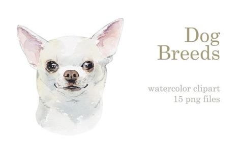 Watercolor Dog Breeds-3 Graphic by Мария Кутузова · Creative Fabrica