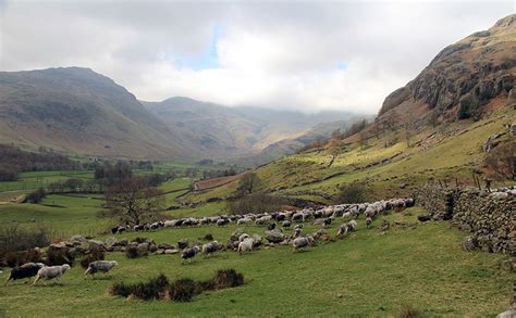 Dispatch #12: GREAT LANGDALE - A heritage landscape