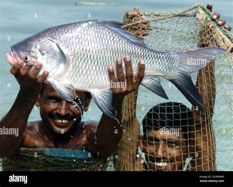 Fish farm bangladesh hi-res stock photography and images - Alamy