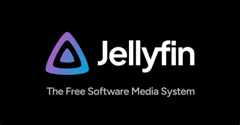 Jellyfin Security & You | Jellyfin