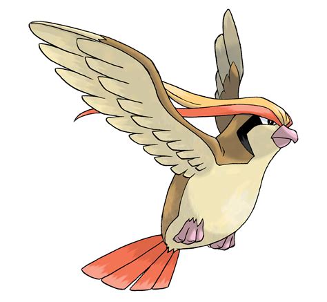 Pidgeotto | WikiDex | Fandom powered by Wikia