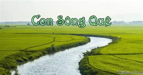 Cậu bé vén áo: chị có thể nào làm thế này không? - Ảnh Chế Meme