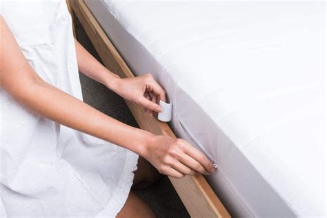 The Best Bed Bug Mattress Covers to Protect Your Bed