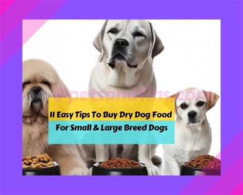 11 Tips To Buy Dry Dog Food For Small & Large Breed Dogs