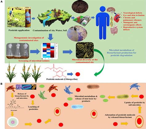 Frontiers | Tapping the Role of Microbial Biosurfactants in Pesticide Remediation: An Eco ...