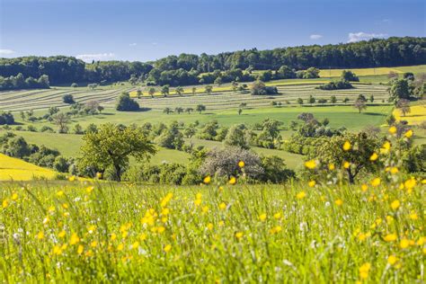 5x Fietsend door het Saarland | Holidayguru.nl