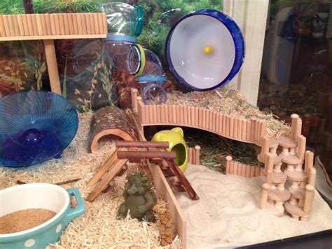 IMG_6206_zpsb6d4b051.jpg | Gerbil Cage Ideas/Gerbils/Toys | Pinterest ...