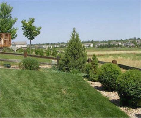 Sodding & Seeding by Rittz Services, serving Denver Metro. Based in ...