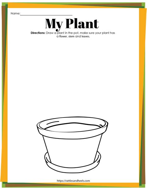 Life Cycle Of A Plant Worksheets For Kindergarten