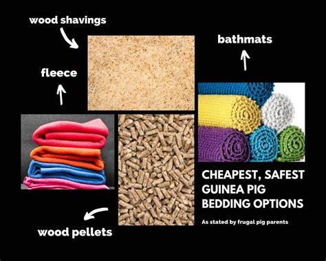 4 Cheap, Safe Guinea Pig Bedding Options (Piggie Approved!) - Squeaks ...