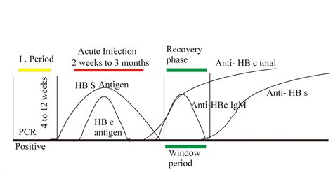 Hepatitis B Virus – Part 2 – Surface Antigen (HbS) by ELISA, Australia ...