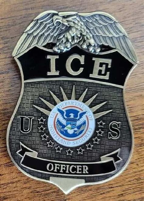 Immigration Customs Enforcement \"ICE\" 3\" tall OFFICER GOLD Challenge ...