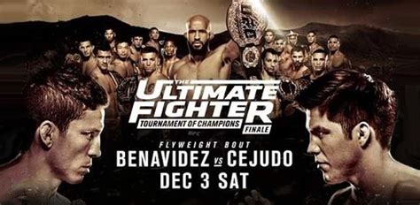 The Ultimate Fighter 24 Finale: Benavidez vs Cejudo – FIGHT24.PL – MMA ...