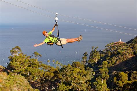 Catalina Island Flyer: Catalina Island Zip line 2012 Information