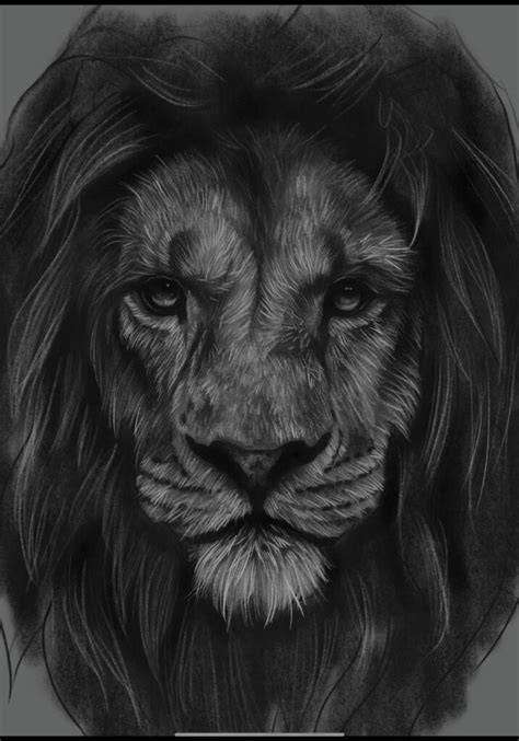 How To Draw A Realistic Lion Face