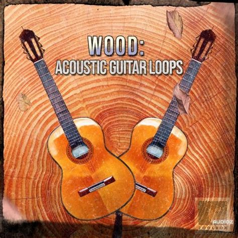 Download Toolbox Samples Wood Acoustic Guitar Loops WAV » AudioZ