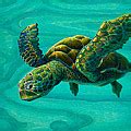 Aeko Sea Turtle Art Print by Emily Brantley
