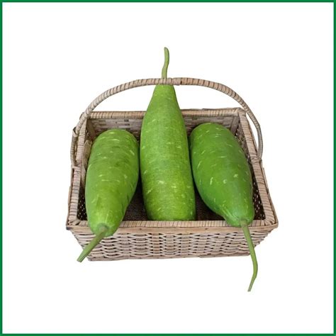 Bottle Gourd - লাউ/Pcs - O' Natural