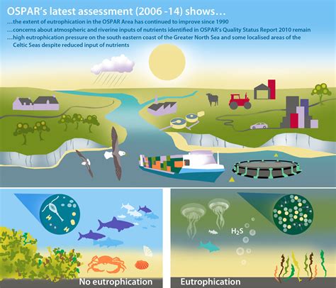 Eutrophication is still a problem in some areas - OSPAR-OAP (Prod)