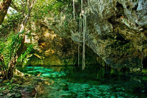 About Cenotes – Facts & Guides