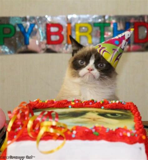 Grumpy Cat Birthday Memes - Imgflip