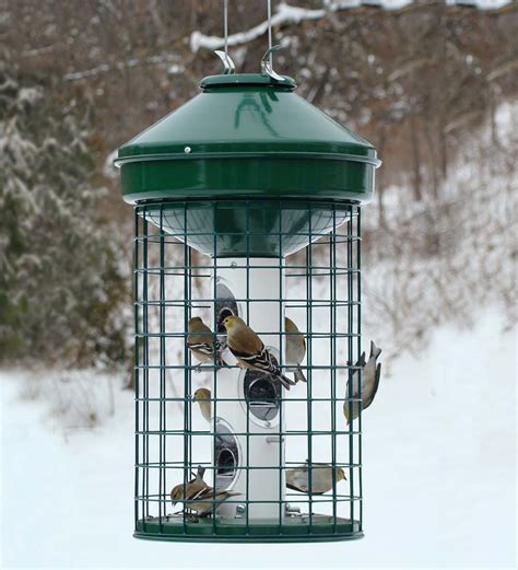 Ultra-sturdy and easy to clean, this heavy-duty mixed seed feeder has a gridded cage surrounding ...