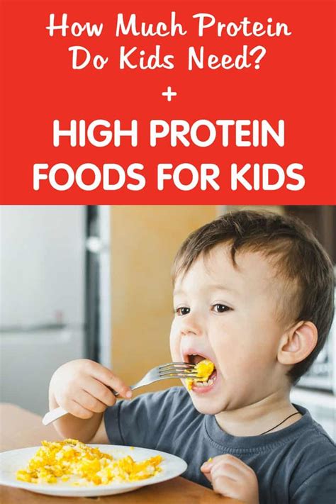 High Protein Foods for Kids + How Much Protein Do Kids Need - Healthy ...