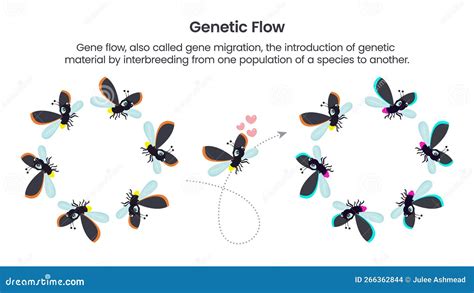 Genetic Flow Scientific Vector Illustration Graphic Stock Vector ...