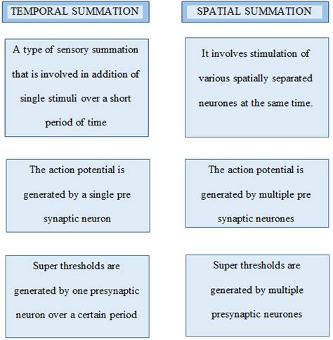 Temporal vs Spatial Summation - A Brief Overview