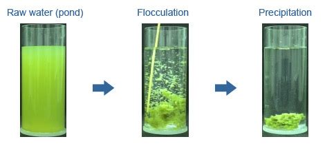 Harvesting algae - Energy Education