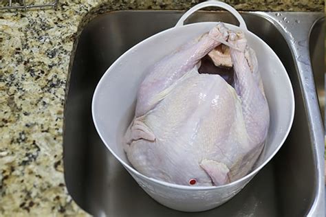 How to Defrost a Turkey for Thanksgiving | AlphaTek Appliance