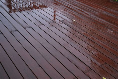 The Best Options for Staining a Cedar Deck