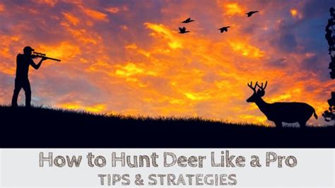 Deer Hunting Tips & Strategies for Beginners - How to Hunt Like a Pro