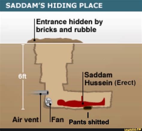 SADDAM'S HIDING PLACE by Saddam Hussein (Erect) Fan pants - iFunny