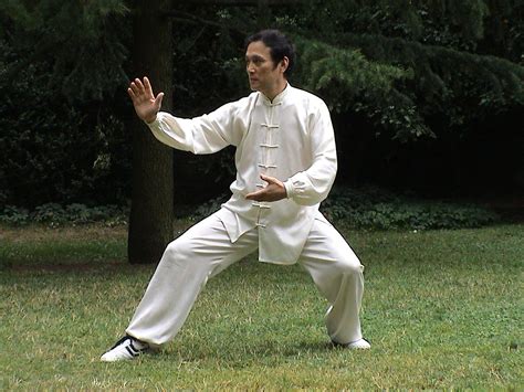 Cours de Tai Chi Chuan pour débutants à Lyon 1er - Académie Tian Long